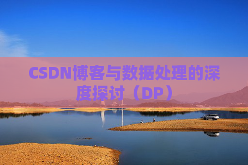 CSDN博客与数据处理的深度探讨（DP）